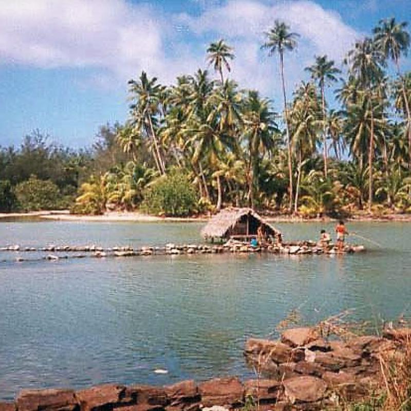 fotogallerie